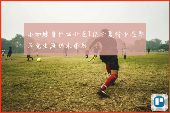 小蜘蛛身价回升至1亿今夏转会在即马竞生涯仍未夺冠