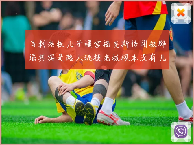 马刺老板儿子逼宫福克斯传闻被辟谣其实是路人玩梗老板根本没有儿子